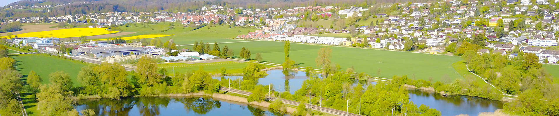 Luftaufnahme_WettswilaA-6