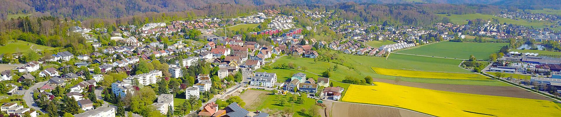 Luftaufnahme_WettswilaA_5-(1)